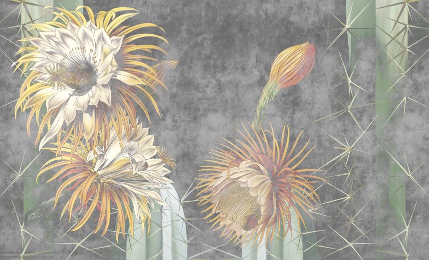 Custom wall murals, Blooming cacti, 10231, Vavex