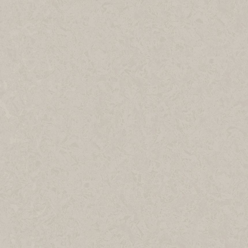 Non-woven wallpaper, light gray, imitation of a luxurious plaster finish Z40026, Tradizione Italiana 3, Zambaiti Parati