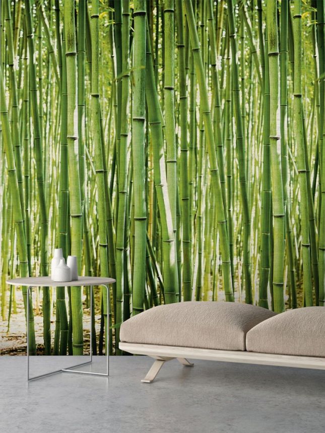 Non-woven wall mural  Bamboo A36901, 159 x 280 cm, One roll, Murals, Grandeco