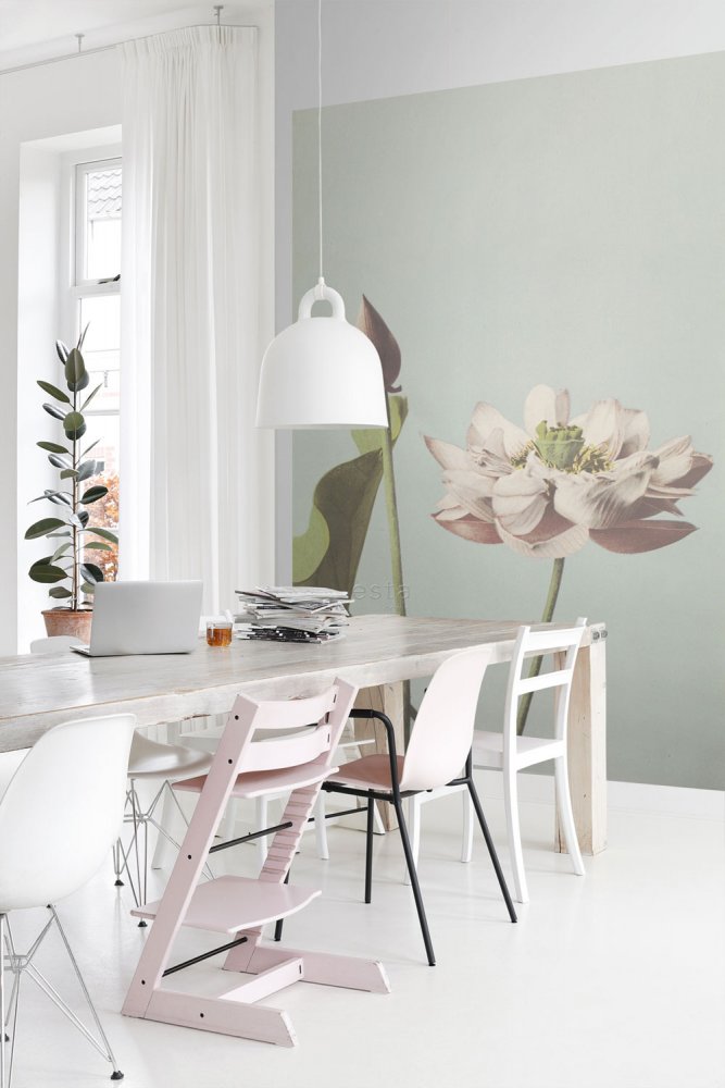 Non-woven wall mural, water lily flower 158890, 186 x 279 cm, Blush, Esta Home