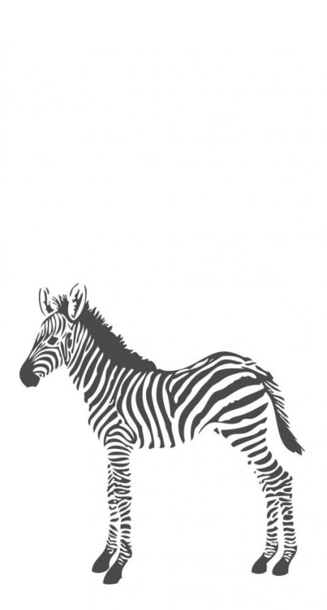 Non-woven wall mural- zebra 357217, 150x279cm, Precious, Origin