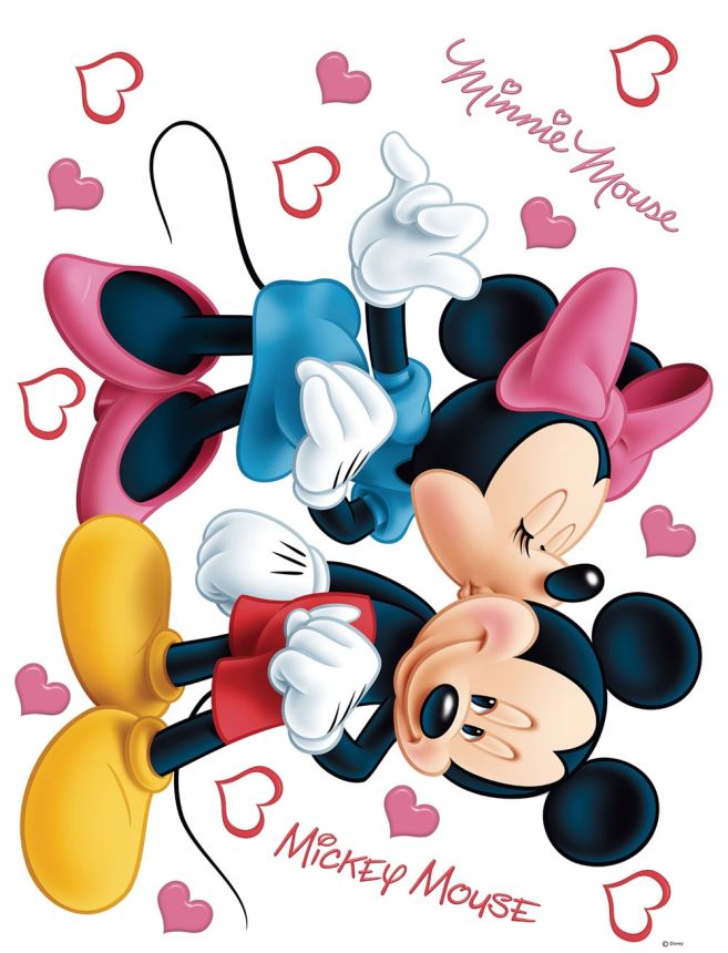 Children's wall sticker DK 882, Disney, Minnie a Mickey Pusy, AG Design