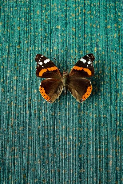 Tapeta vliesová na zeď 358062, Masterpiece, Eijffinger